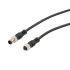 Connection cable digital in/out, M8 male/M8 fem. 0°, 3p, 3m