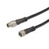 Connection cable, M8 male 0° / open end, 4p, shielded, 5 m