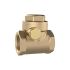 Check valve, DN 25, Brass, Soft sealed, G 1, PN max. 12 bar